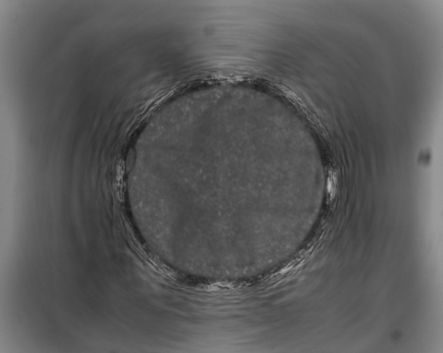 X0000099430867200805301427