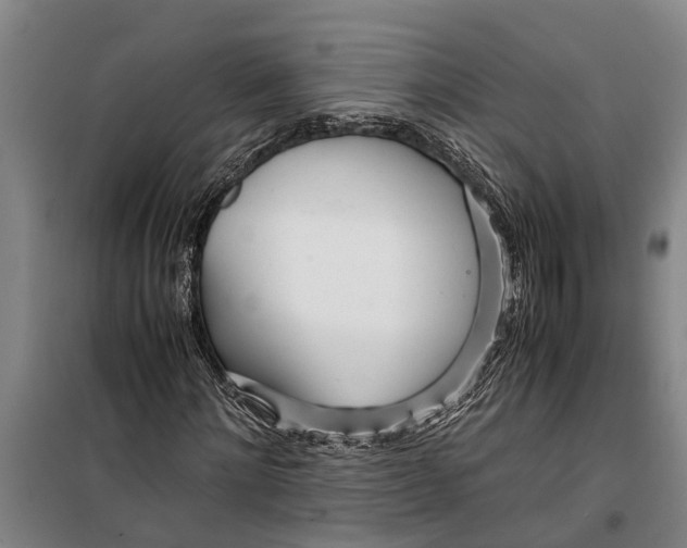 X0000099430868200805301427