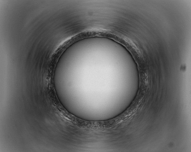 X0000099430872200805301426