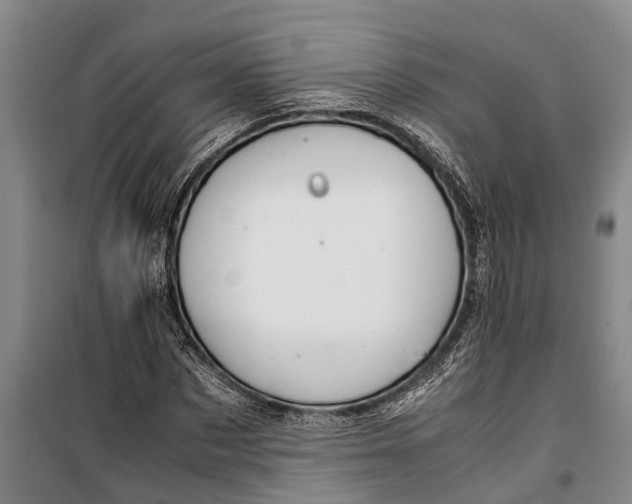 X0000099430873200805301426