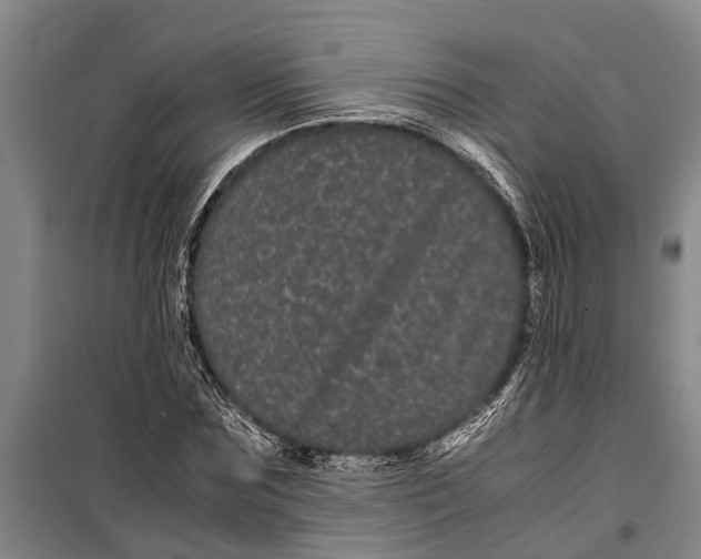 X0000099430875200805301426