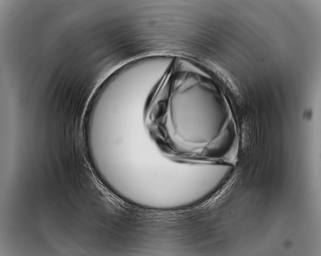 X0000099430876200805301426