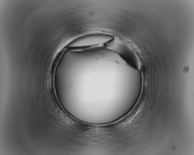 X0000099430877200805301426