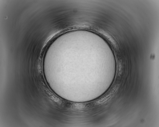 X0000099430878200805301426