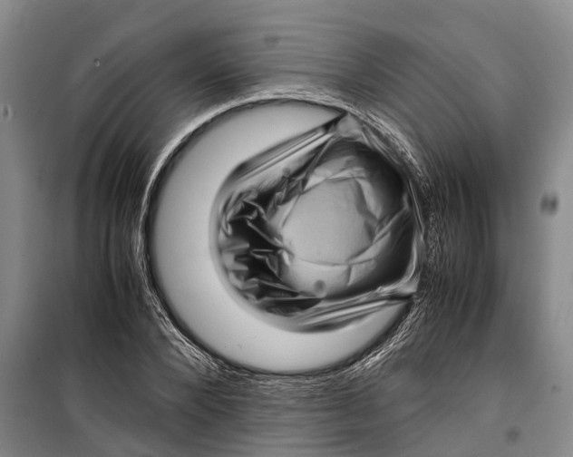 X0000099430880200805301426