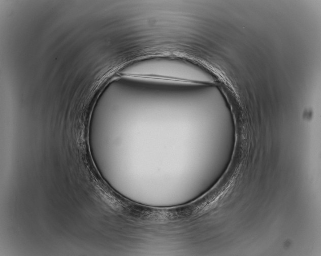 X0000099430881200805301426