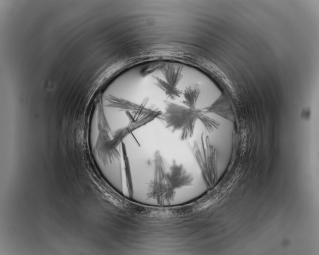 X0000099430882200805301426