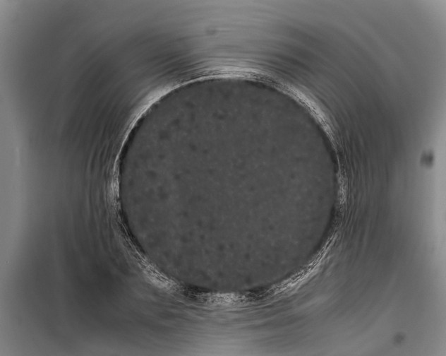 X0000099430883200805301426