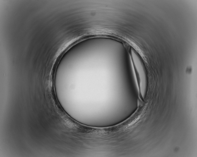 X0000099430885200805301426