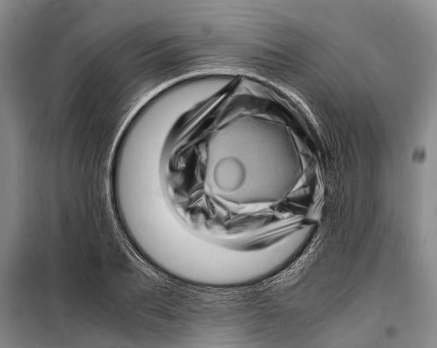 X0000099430887200805301426