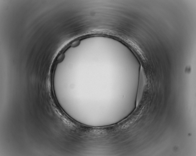 X0000099430888200805301426