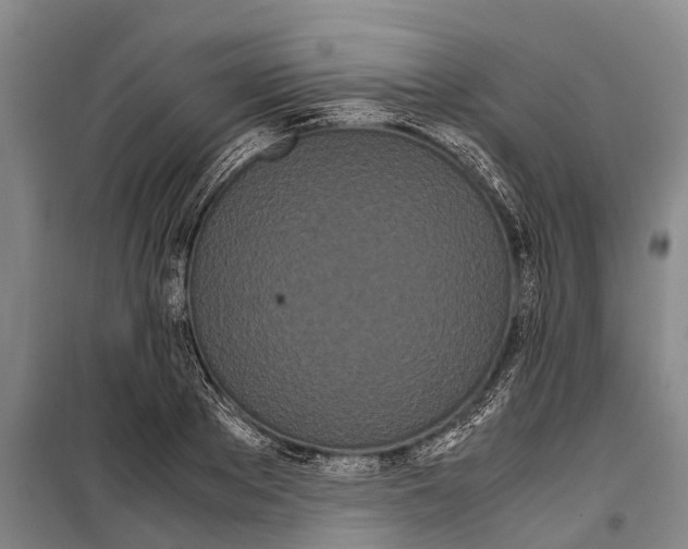 X0000099430889200805301426