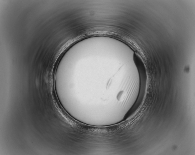 X0000099430890200805301426