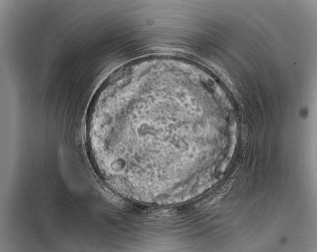 X0000099430891200805301426