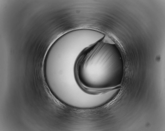 X0000099430892200805301426