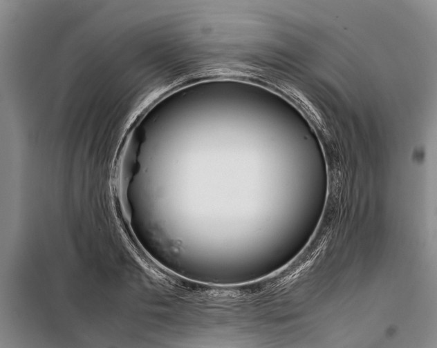 X0000099430893200805301426