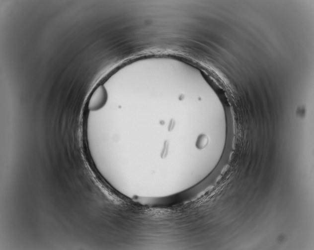 X0000099430894200805301426