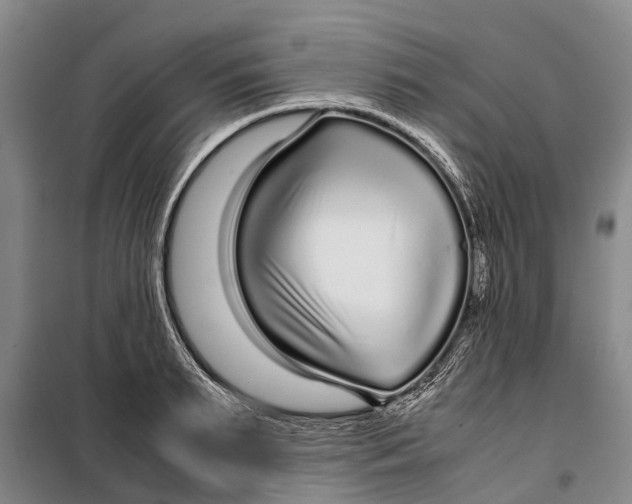 X0000099430895200805301426