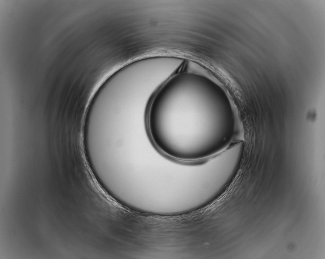 X0000099430896200805301426