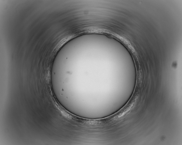 X0000099430897200805301426