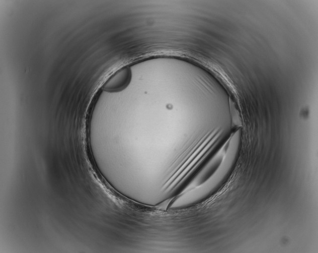 X0000099430898200805301426