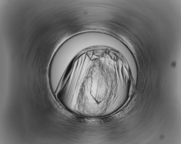 X0000099430899200805301426