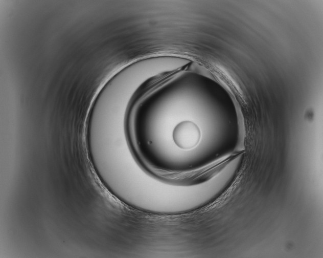 X0000099430900200805301426