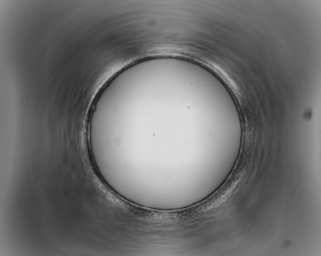 X0000099430901200805301426