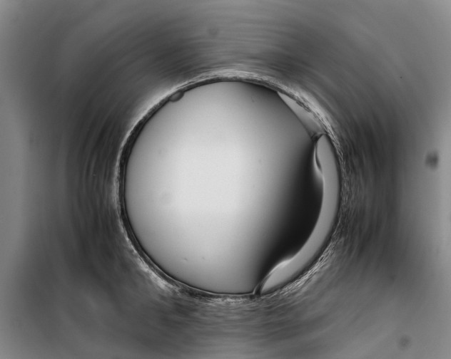 X0000099430902200805301426