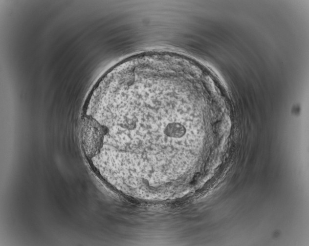 X0000099430903200805301426