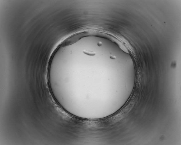 X0000099430904200805301426