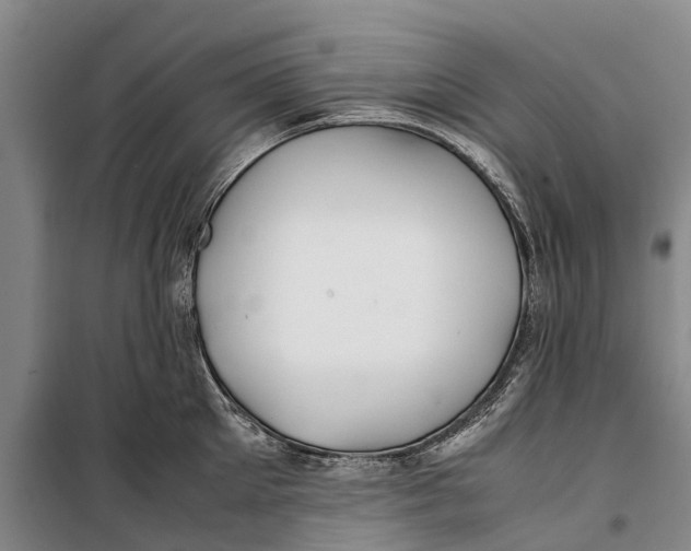 X0000099430905200805301426