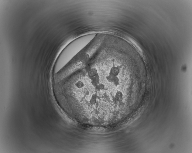 X0000099430907200805301426