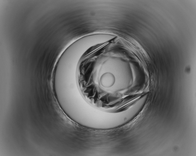 X0000099430908200805301426