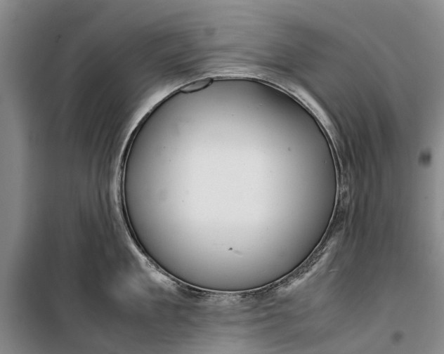 X0000099430909200805301426