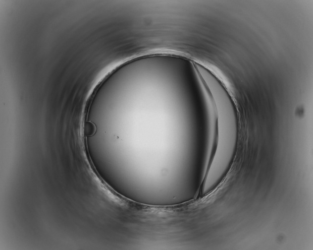 X0000099430910200805301426