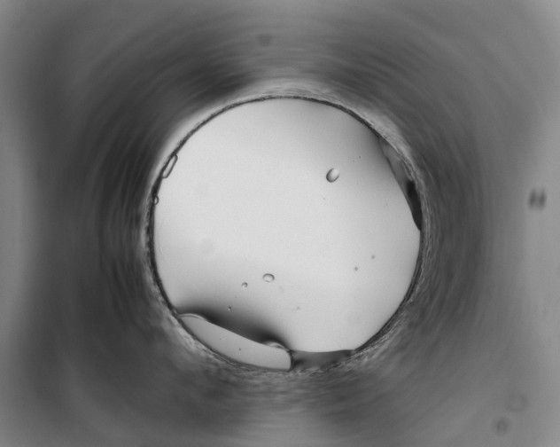 X0000099430912200805301426