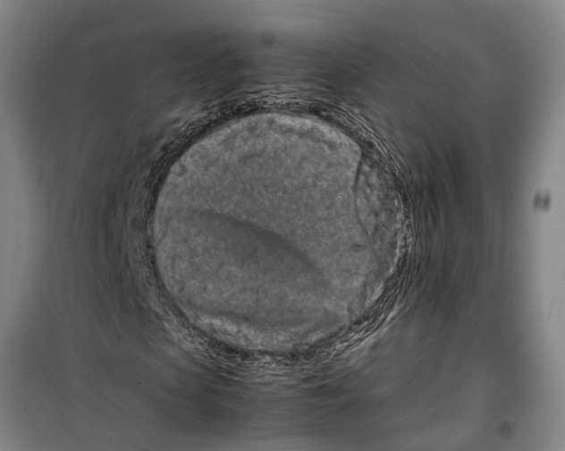 X0000099430913200805301425