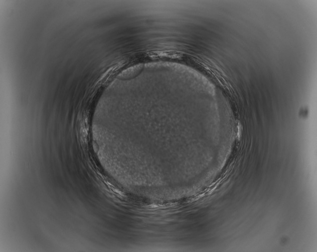 X0000099430915200805301425