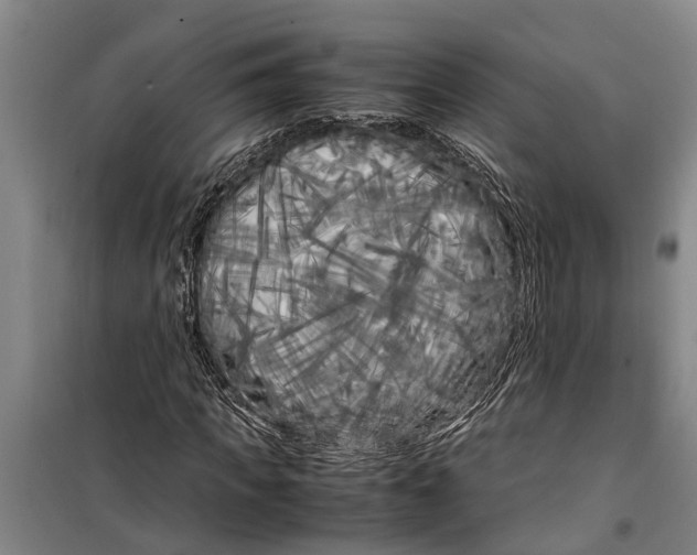 X0000099430917200805301425