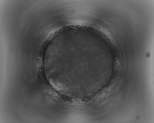 X0000099430918200805301425