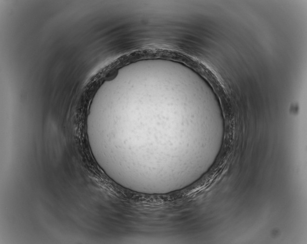 X0000099430919200805301425