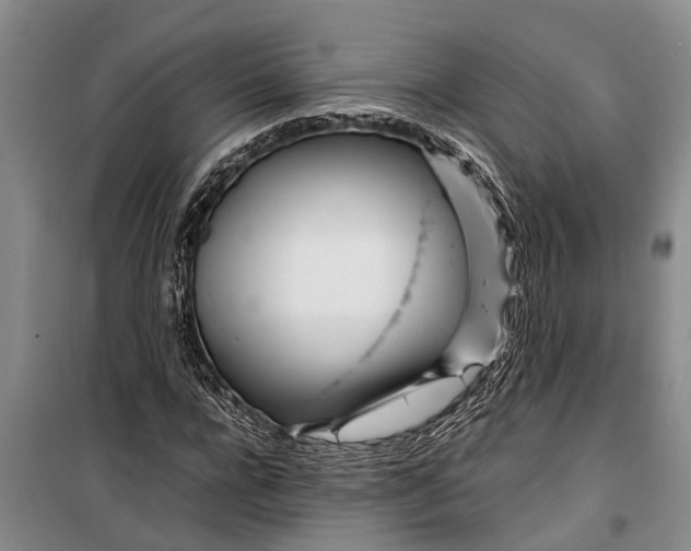 X0000099430920200805301425