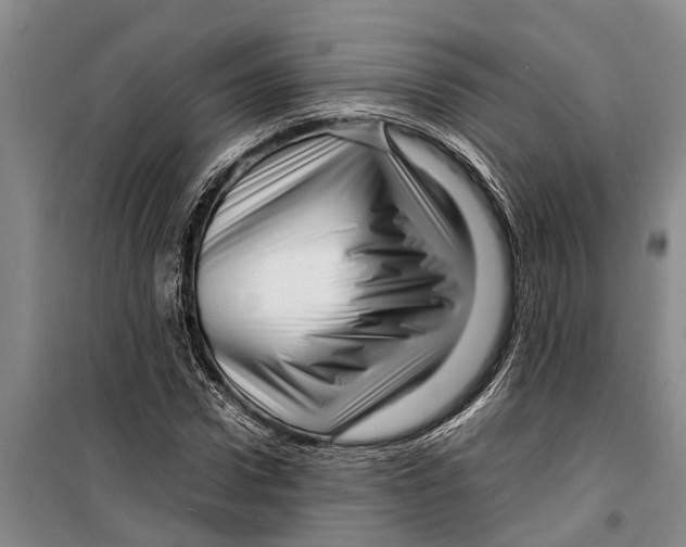 X0000099430922200805301425