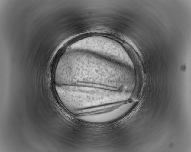 X0000099430923200805301425