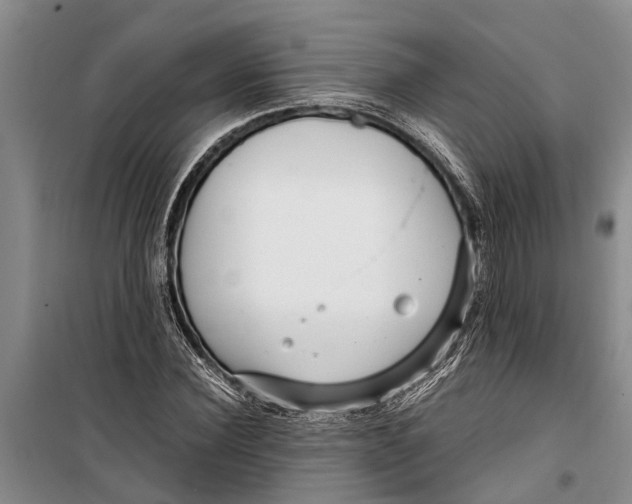 X0000099430924200805301425