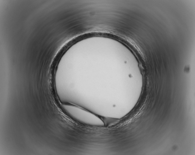 X0000099430926200805301425