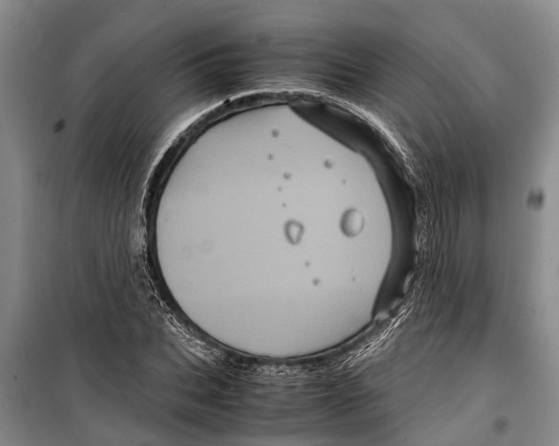 X0000099430927200805301426