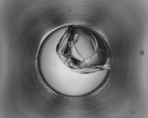 X0000099430928200805301426