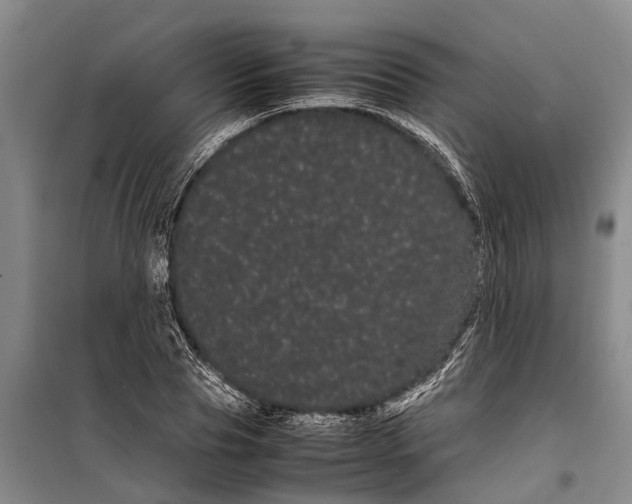 X0000099430929200805301426